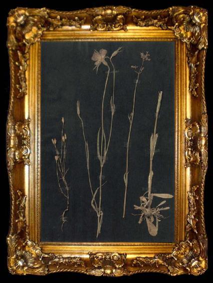 framed  Paul Klee Herbarium, ta009-2